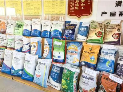 融合煥新促發(fā)展 文化賦能樹品牌——銷售分公司在糧食市場管理服務中的實踐與探索